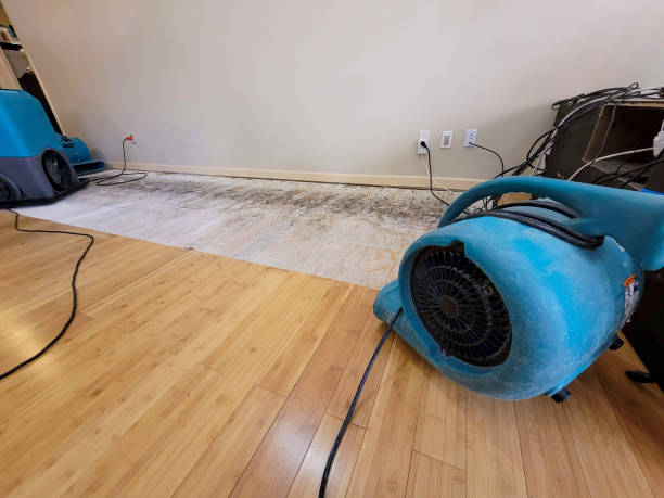 Professional Basement Flood Cleanup technician working in Fall River, WI